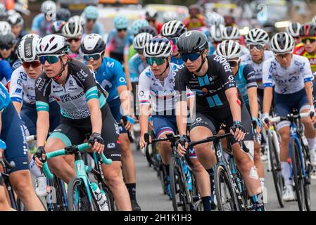 Le groupe péloton de cyclistes féminins se trouve autour de l'autoroute à péage de Rettendon lors de la course cycliste AJ Bell pour femmes, phase 4, Essex, Royaume-Uni Banque D'Images