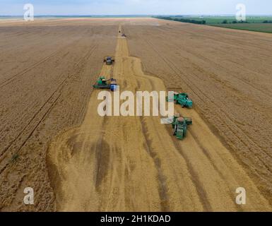 Krasnodar, Russie - le 22 juillet 2017 : La récolte du blé l'ensileuse. Les machines agricoles du grain de la récolte sur le terrain. Les machines agricoles en exploitation. Banque D'Images