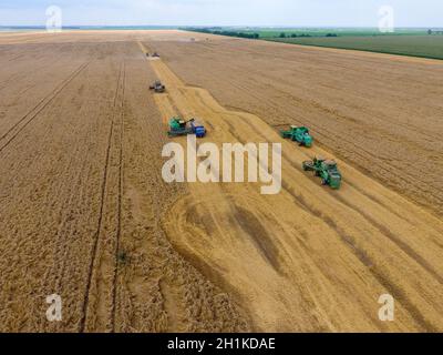 Krasnodar, Russie - le 22 juillet 2017 : La récolte du blé l'ensileuse. Les machines agricoles du grain de la récolte sur le terrain. Les machines agricoles en exploitation. Banque D'Images