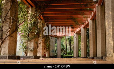 Image d'un angle bas d'une pergola regardant la structure sur un chemin entouré par des colonnes dans un parc Banque D'Images