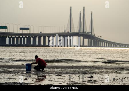 George Town, Penang/Malaysia - Déc 28 2019 : palourdes locales avec seau près du deuxième pont de Penang. Banque D'Images