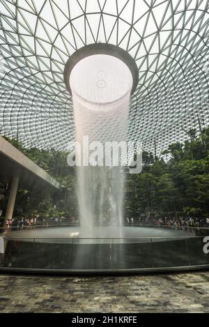 Singapour - 6 décembre 2019 : HSBC Rain Vortex est la plus grande chute d'eau intérieure au monde située à l'intérieur de l'aéroport de Jewal Changi à Singapour. Banque D'Images