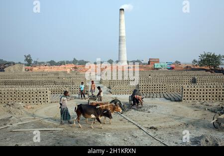 Brickfield en Sarberia, Bengale-Occidental, Inde Banque D'Images