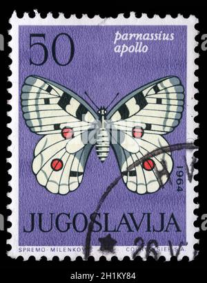 Le timbre imprimé en Yougoslavie montre le papillon avec l'inscription 'Parnassius apollo' de la série 'Butterflies', vers 1964 Banque D'Images