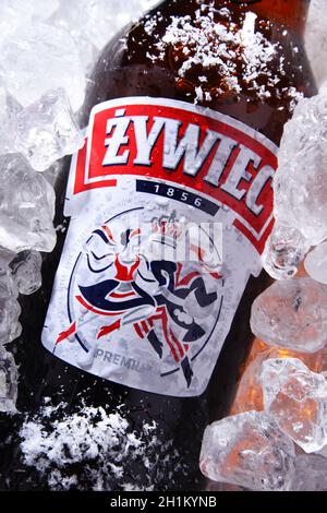 POZNAN, POL - OCT 8, 2020: Bouteille de bière Zywiec, une lager pâle, qui a été brassée en Pologne par le Groupe Zywiec, propriété de Heineken International depuis Banque D'Images