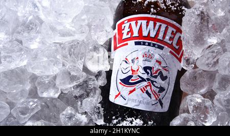 POZNAN, POL - OCT 8, 2020: Bouteille de bière Zywiec, une lager pâle, qui a été brassée en Pologne par le Groupe Zywiec, propriété de Heineken International depuis Banque D'Images