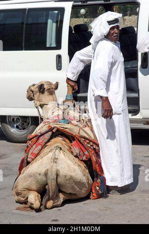 Bédouin attend touriste près de son dromadaire à Jéricho, Israël Banque D'Images