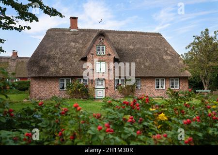 NEBEL, ALLEMAGNE - 29 SEPTEMBRE 2020 : image panoramique d'une maison frisonne traditionnelle contre le ciel bleu le 29 septembre 2020 sur Amrum, Allemagne Banque D'Images