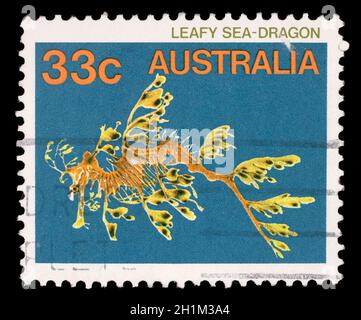 Timbres en l'Australie montre feuillus Seadragon, Phycodorus eques, poissons marins, circa 1985 Banque D'Images