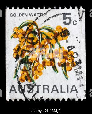 Timbres en Australie présente le Golden Wattle (Acacia) pycnatha, fleur nationale, vers 1970. Banque D'Images