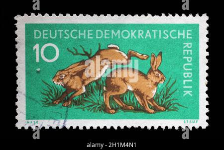 Timbres en RDA montre des lièvres, Lepus timidus, Animal, circa 1959 Banque D'Images