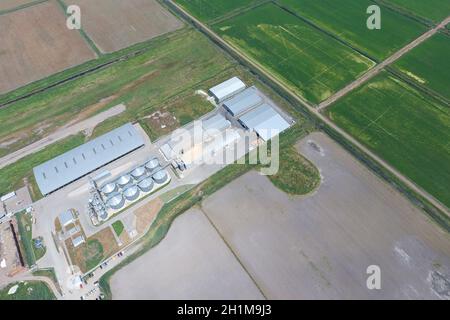 Plante pour le séchage et le stockage des céréales. Plant de riz au milieu des champs. Vue d'en haut. Banque D'Images