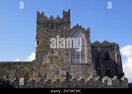 L'abbaye de Tintern est aujourd'hui une ancienne abbaye cistercienne du comté de Wexford en République d'Irlande. Banque D'Images