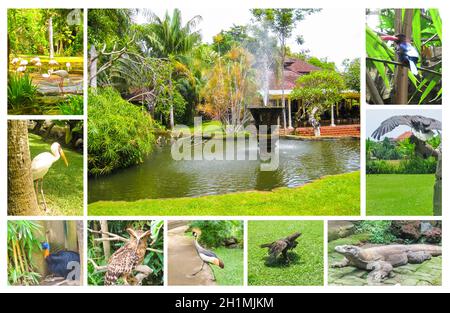 Maison traditionnelle balinaise dans un jardin verdoyant.Parc ornithologique de Bali. Banque D'Images