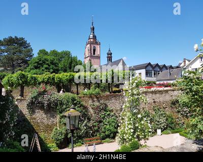 Kirche, Eltville, Allemagne, Rhein Banque D'Images