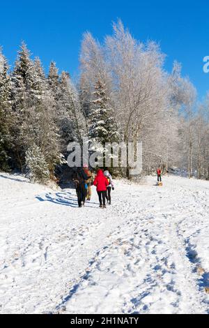 Parc national de Gorce, Pologne - 27 décembre 2020 : Un groupe de touristes marchant dans les montagnes pendant un hiver enneigé, arbres couverts de neige Banque D'Images