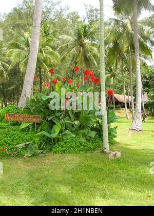 The beautiful landscape at Mu Ko Ang Thong National Marine Park in Thailand. Asia. Stock Photo