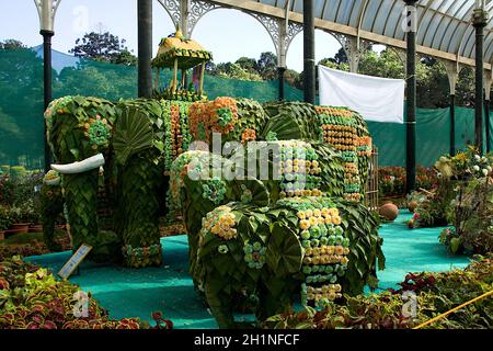 Éléphants construits de feuilles et décorés de fleurs au salon horticole du jour de la République à Lalbagh jardin botanique, Bengaluru, Karnataka, Inde, A Banque D'Images