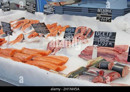 Le poisson frais congelé dans la glace est vendu en magasin.Morceaux de paddlefish de saumon.Filet de truite, esturgeon, saumon congelé au réfrigérateur.Saumon et esturg Banque D'Images