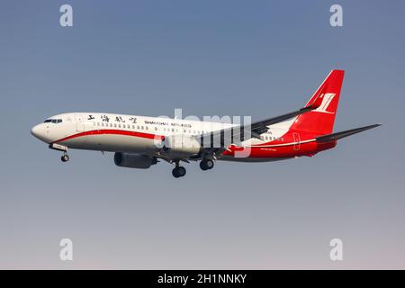 Shanghai, Chine - 28 septembre 2019 : avion Boeing 737-800 de Shanghai Airlines à l'aéroport de Shanghai Hongqiao en Chine. Boeing est un avion américain Banque D'Images