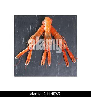 Trois langoustines langoustine scampi de langoustine sur une ardoise Banque D'Images