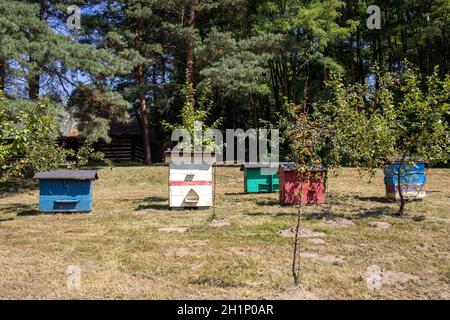 Un apiaire avec de vieilles ruches en bois dans un jardin rural Banque D'Images