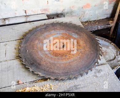 Scie à disque. Dur pour le sciage du bois. Banque D'Images