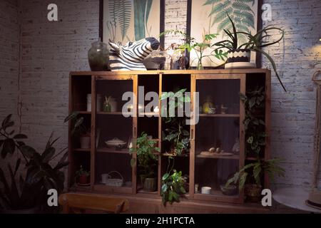 Plantes de maison exotiques avec de belles feuilles, différentes plantes d'intérieur dans la salle de séjour avec des décorations sur l'armoire Banque D'Images