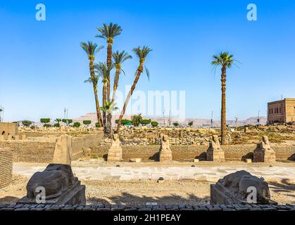 Aleey de sphinx au temple de Louxor, Égypte Banque D'Images