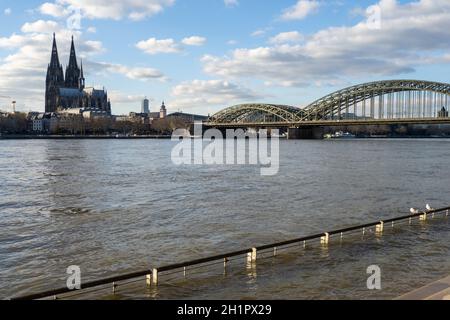 Inonder l'eau du Rhin avec Kölner Dom et Hohenzollernbrücke - Köln Banque D'Images