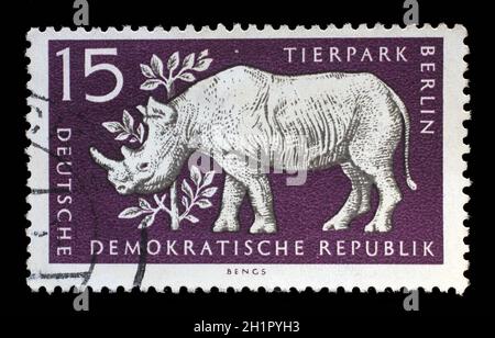 Timbre imprimé en RDA montre Rhinoceros, Berlin, jardin zoologique allemand, vers 1956 Banque D'Images