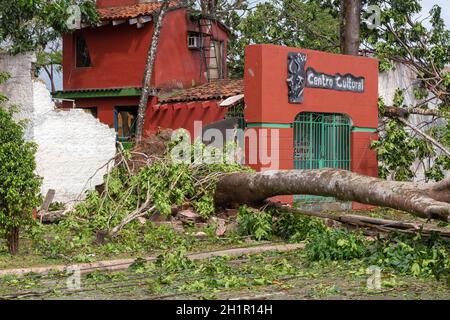 Paris, le 10 septembre 2017.Arbres sur le sol et un mur brisé par la chute de l'arbre, Irma Hurricane dégâts Banque D'Images