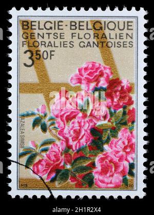 Le timbre imprimé en Belgique du Ghent Flower Show numéro montre Azaleas, vers 1970. Banque D'Images