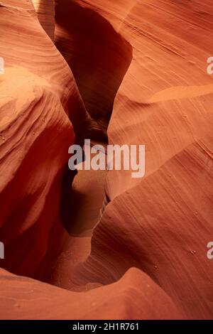 Formations de grès érodées au Canyon de Rattlesnake, près de Page, Navajo Nation, Arizona, USA Banque D'Images