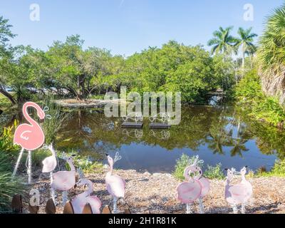 Marie Selby Botanical Gardens est un jardin botanique de 15 hectares (6.1 ha) situé au 900 South Palm Avenue à Sarasota, Floride. Banque D'Images