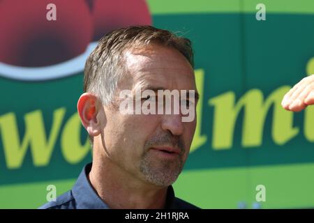 Achim Beierlorzer Trainer (Koeln), 1.BL: 19-20: 3.Sptg.SC Freiburg contre 1.LA RÉGLEMENTATION DU FC KÖLN DFL INTERDIT TOUTE UTILISATION DE PHOTOGRAPHIES COMME IMAGE SEQUENC Banque D'Images