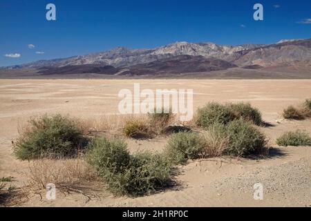 La boue séchée à Salt Pan, Panamint Valley, et Argus, Death Valley National Park, désert de Mojave, Californie, USA Banque D'Images