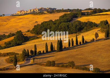 Cipressi di Monticchielo, paysage toscan typique près de Montepulciano, Italie Banque D'Images