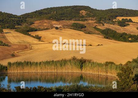 Paysage toscan typique près de Montepulciano et Monticchielo, Italie Banque D'Images