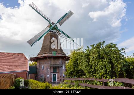 Peldemuehle Jemgum, moulin à vent historique à Jemgum, Frise orientale, Basse-Saxe, Allemagne Banque D'Images
