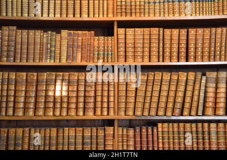 Der Prunksaal der österreichischen Nationalbibliothek in Wien, Österreich, Europa - la salle d'Etat de la Bibliothèque nationale autrichienne à Vienne, Autriche Banque D'Images