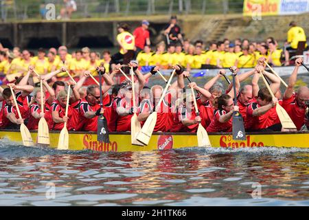 Ein Drachenboot-Rennen en Allemagne - Une course de bateaux-dragons en Allemagne Banque D'Images