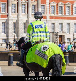 LONDRES, Royaume-Uni - VERS avril 2011 : officier de police monté à Horse Guard Parade. Banque D'Images