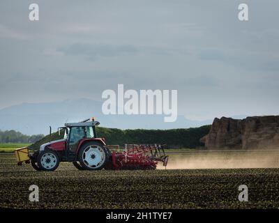 Agriculteur sur un tracteur sur un champ Banque D'Images