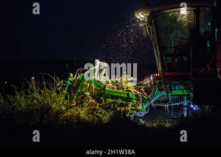 La récolteuse de tomates travaille de nuit. Las Vegas Bajas del Guadiana, Espagne Banque D'Images