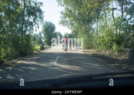 Conduite lente derrière les cyclistes sur la route boisée de campagne. Vue de l'intérieur de la voiture Banque D'Images