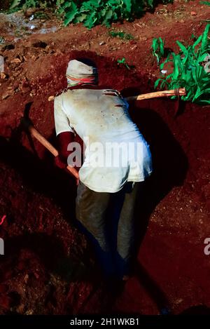 Agriculteur non identifié travaillant sur le terrain Banque D'Images