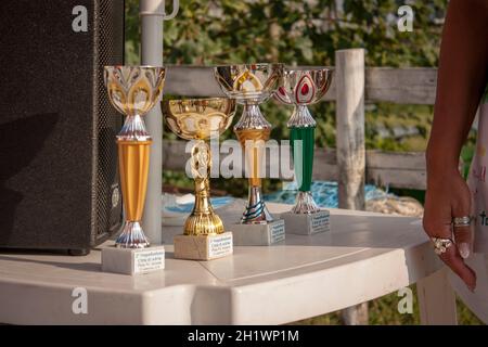 Détail des coupes Trophée pour la course Banque D'Images