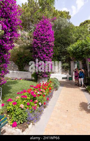 Île de Capri, Italie - 28 juin 2021 : jardins d'Auguste, jardins botaniques sur l'île de Capri Banque D'Images