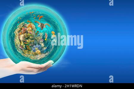 Globe dans la main humaine contre le ciel bleu.Concept de protection de l'environnement.Monde sous-marin.Poissons de corail de la mer Rouge Banque D'Images